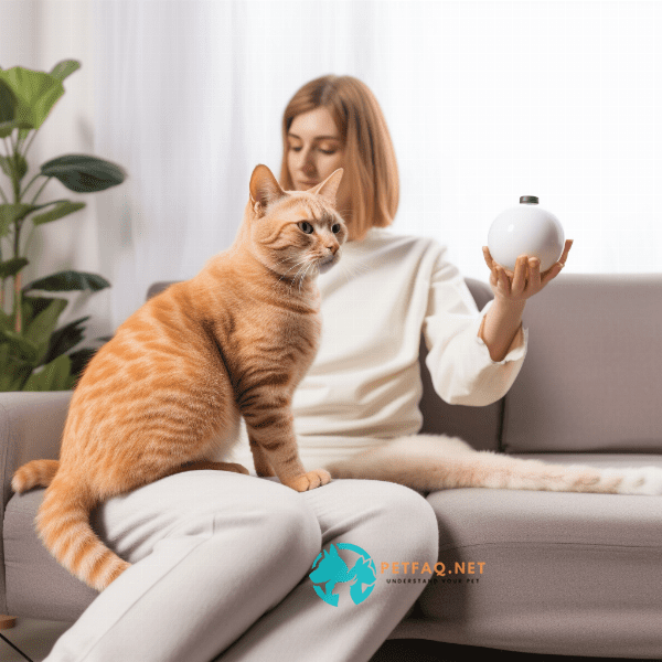 Alternative Ways to Calm a Hyperactive Cat