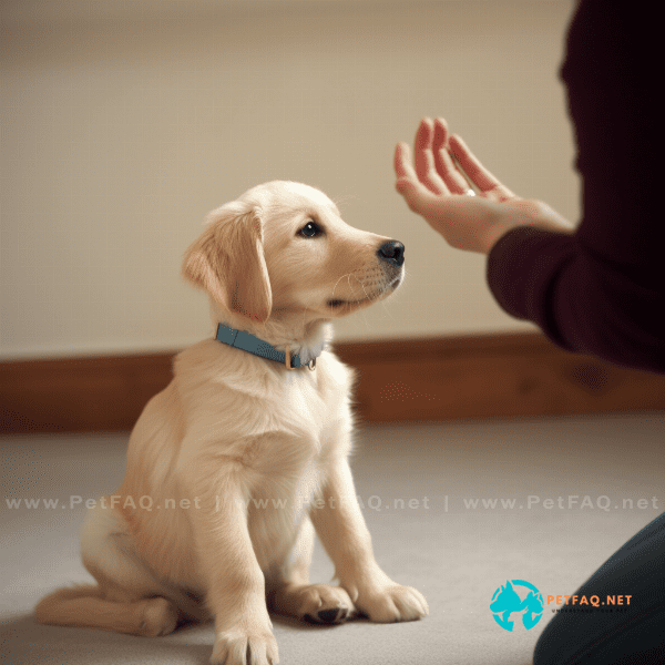 How do you handle disobedient behavior during puppy obedience training?