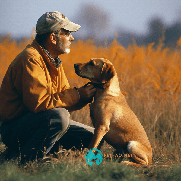 Essential Commands for Hunting Dogs