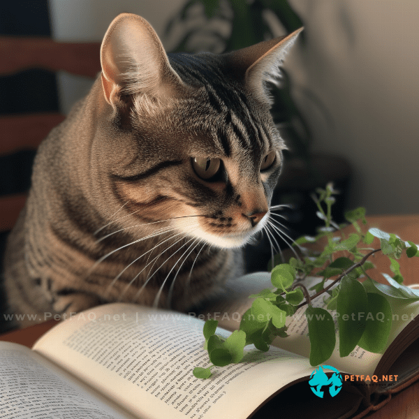 Can humans use catnip for medicinal purposes, and if so, what are some of the potential benefits?