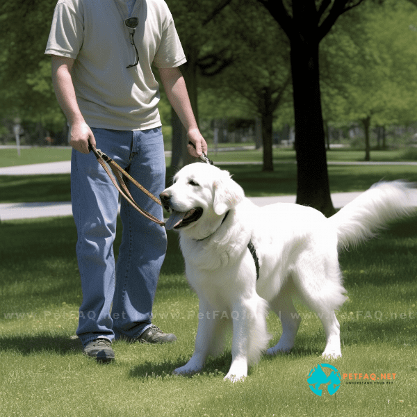 What are some free dog training tips for basic obedience commands?