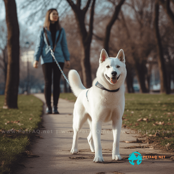What are the benefits of basic dog training?