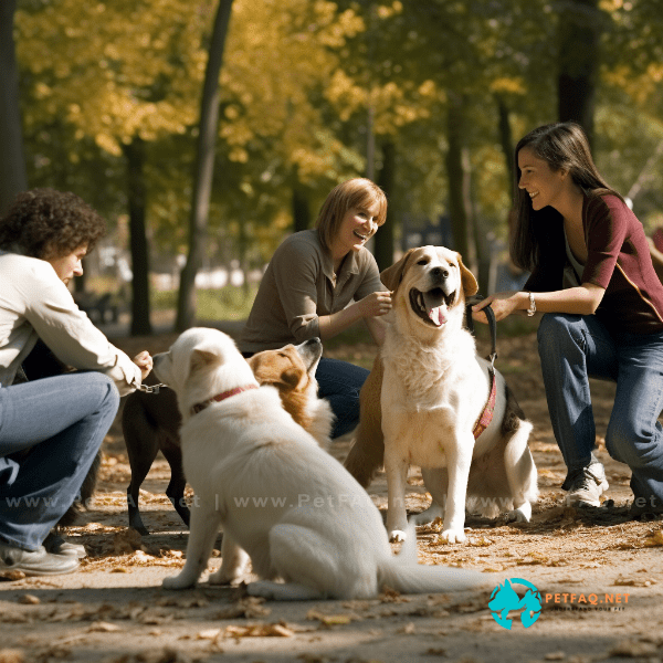 Socializing Your Dog with Humans and Other Pets