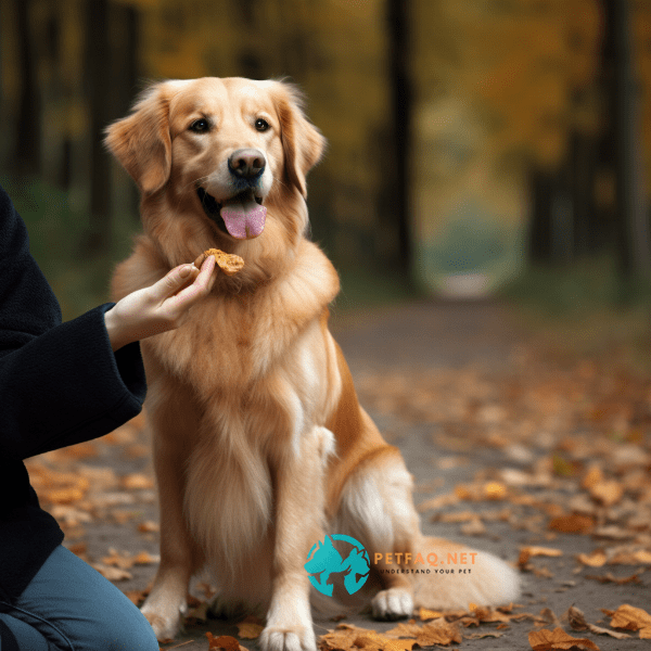 What are some effective free dog training tips for basic obedience?