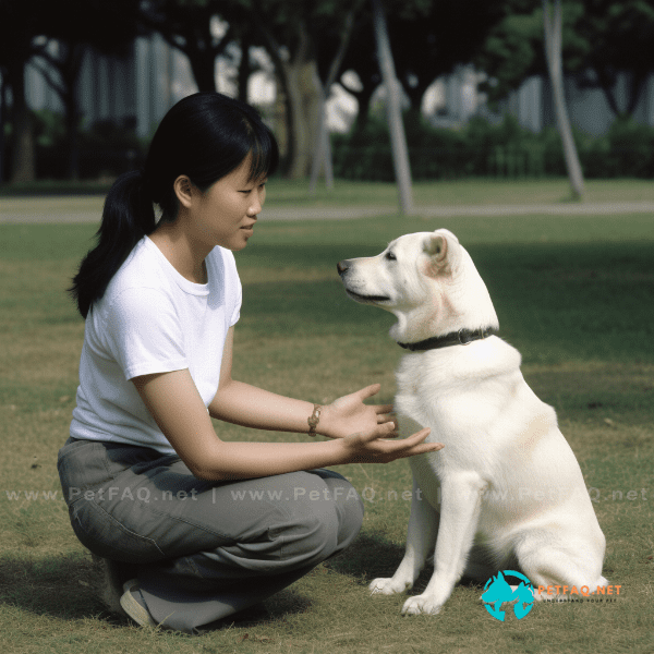 What are some free dog training tips for beginners?