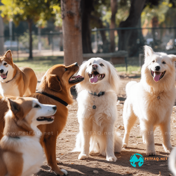 The Role of Socialization in Puppy Obedience Training
