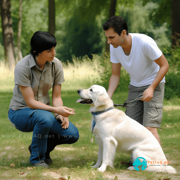 Can punishment be a part of dog training discipline, and if so, when is it appropriate to use?