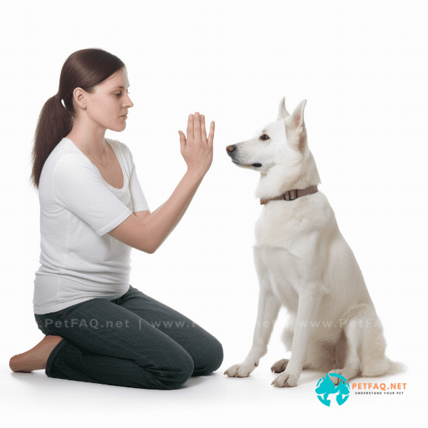 How do I establish myself as the leader in my dog’s training and maintain that position?