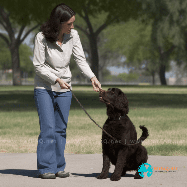 What are some effective dog training discipline techniques?