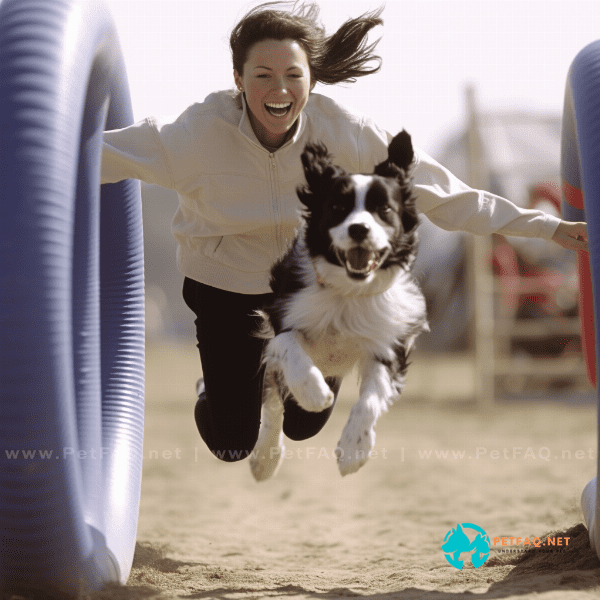 Training for Obedience and Agility Competitions