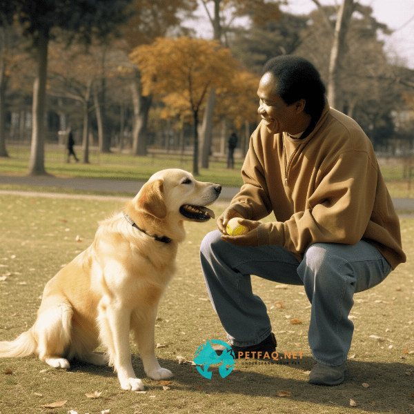 Understanding Dog Behavior and Psychology