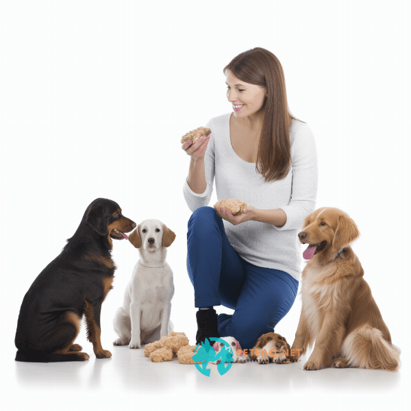 Understanding the Importance of Puppy Obedience Training