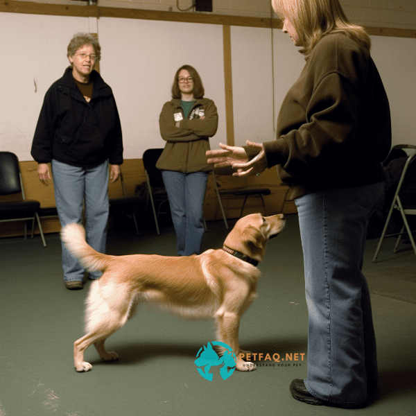 Can children attend dog training classes with their dogs?