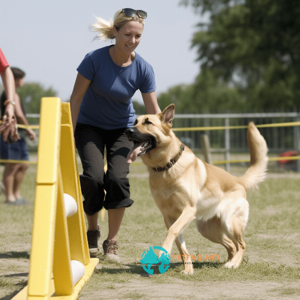 How long do dog training classes typically last?