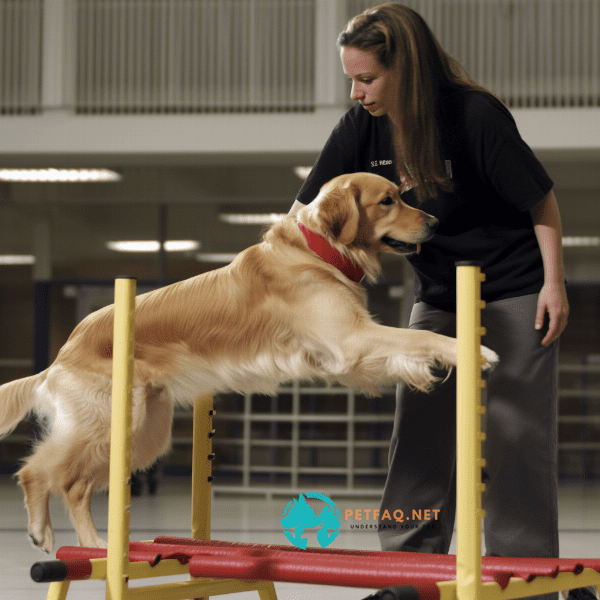 Advanced Training Techniques for Therapy Dogs