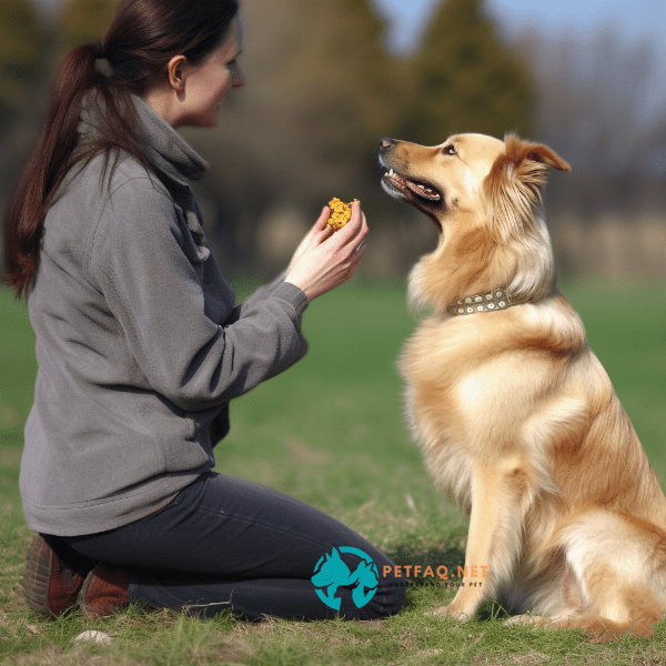Alternatives to Using a Shock Collar in Dog Training