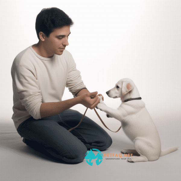 What is the difference between a verbal command and a hand signal in dog training?