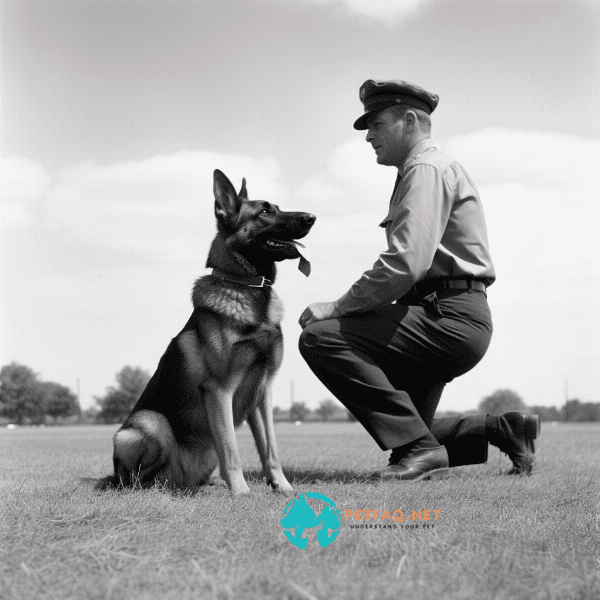 How are police dogs trained to track a suspect?