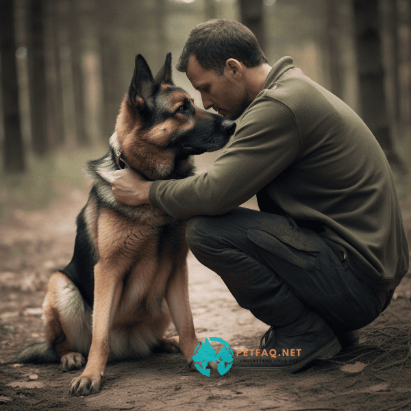 Building Trust and Bonding with Your Guard Dog
