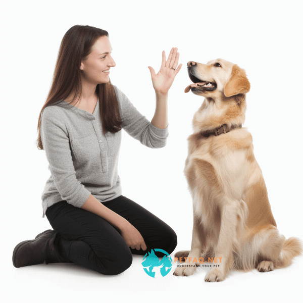 Conclusion: the benefits of clicker training for you and your furry friend