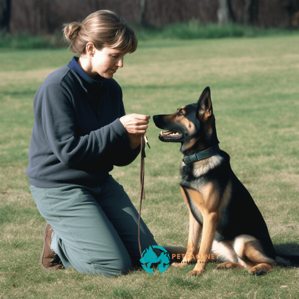 What are the most important obedience commands to teach a dog?