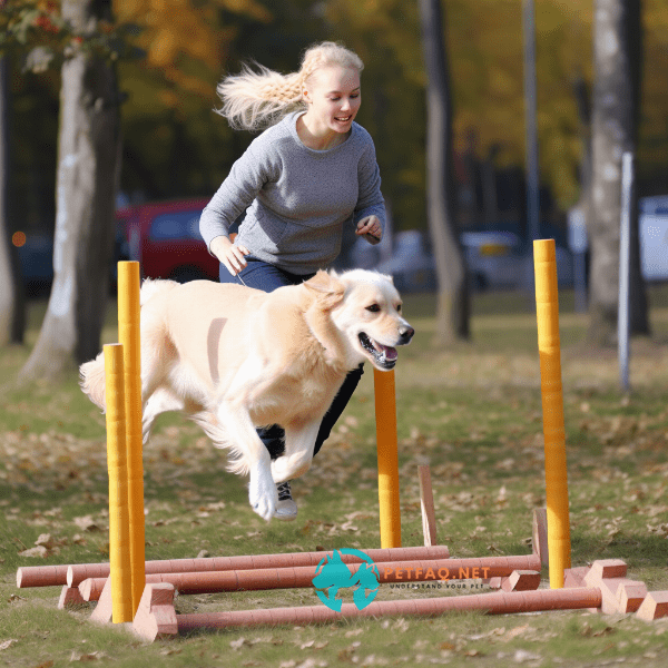 Enhancing Athleticism: Agility and Endurance Training for High-Performance Dogs