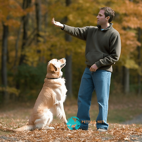 Essential commands for off-leash training