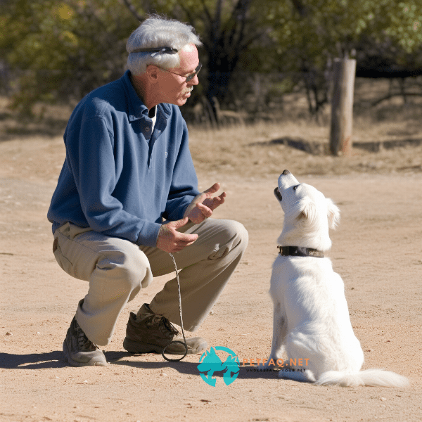 Frequently asked questions about off-leash dog training