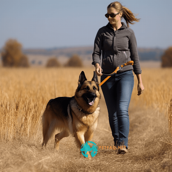 At what age should you start leash training your dog?