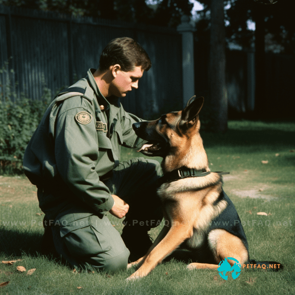 Maintaining Ongoing Training and Reinforcement for Your Guard Dog