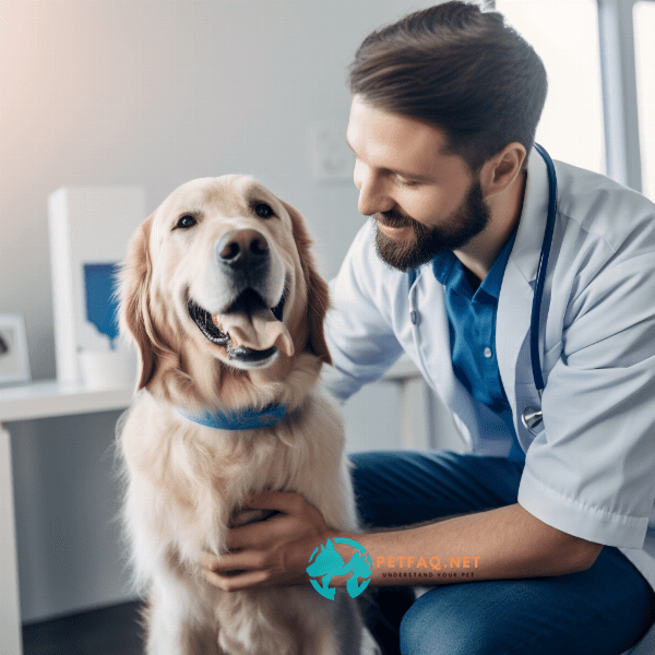 Maintaining the Well-Being of Your Emotional Support Dog