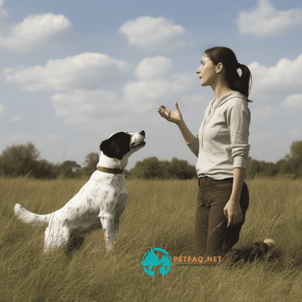 Obedience Training: Building a Foundation of Trust and Control