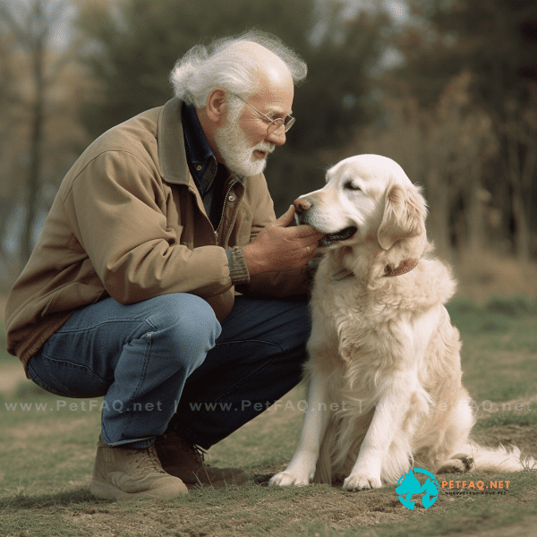 Overcoming Challenges: Tips for Training Older Dogs or Dogs with Behavioral Issues