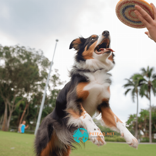 Positive Reinforcement: The Key to Successful Dog Training