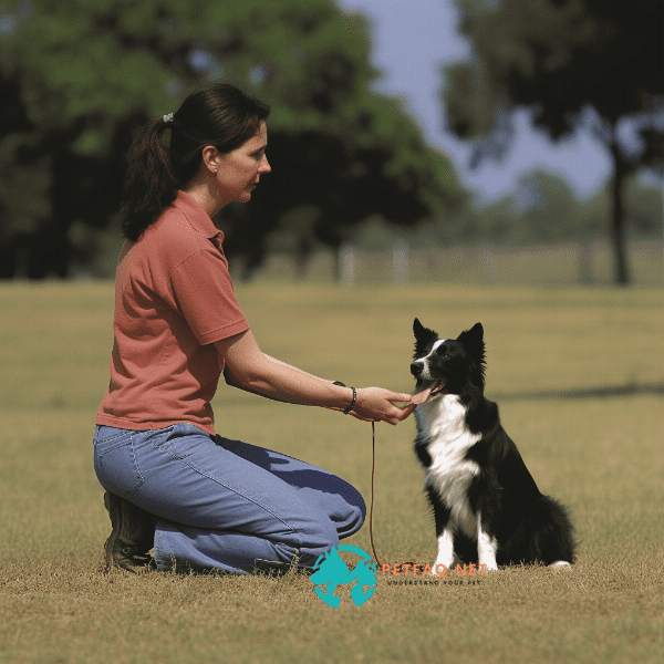 Preparing for off-leash training