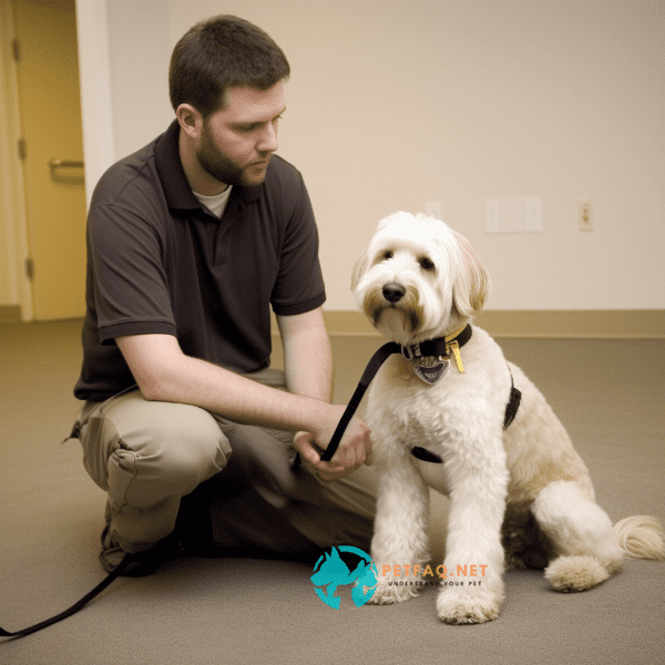 Qualities to Look for in a Potential Therapy Dog