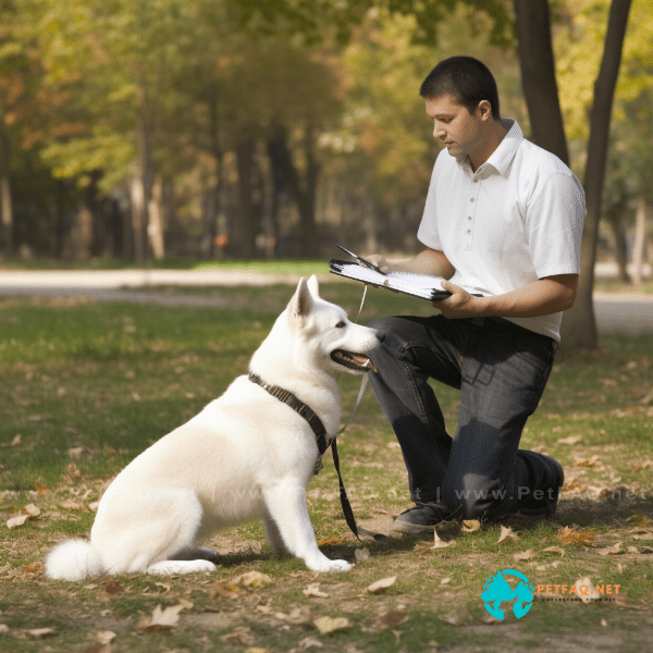 Setting Realistic Goals for Your Dog's Training