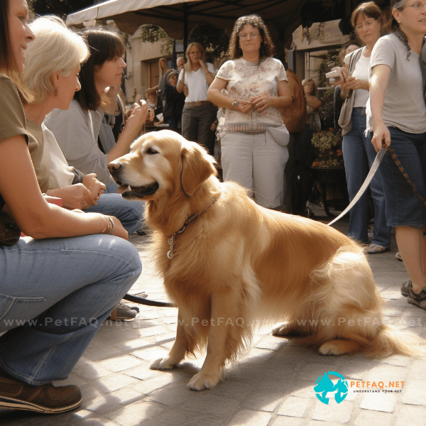 Socialization and Desensitization for Therapy Dogs