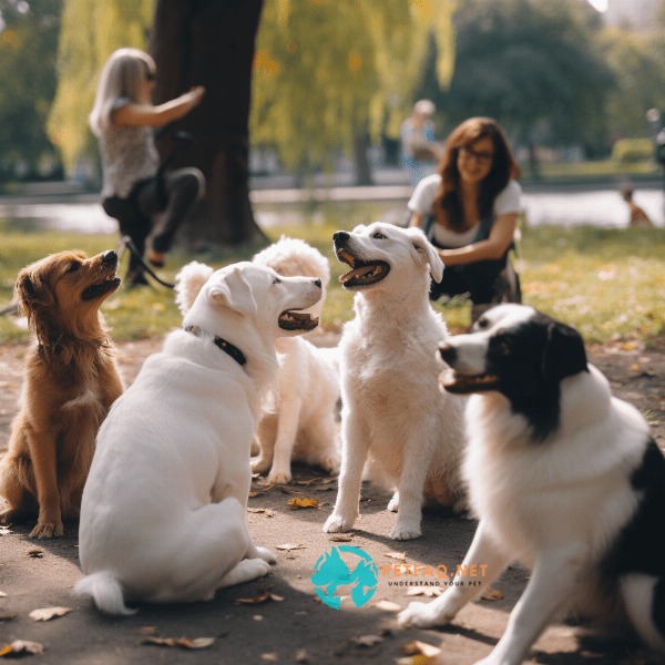 Socializing Your Puppy: The Importance of Early Exposure to New Experiences