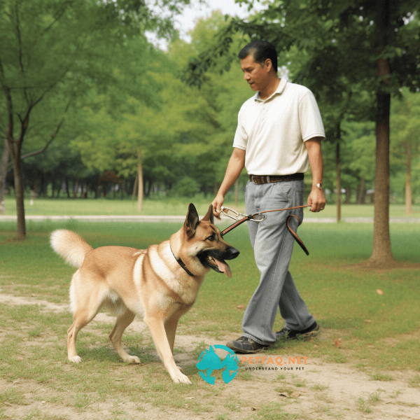 How do you handle a dog that is fearful or aggressive while on a leash?