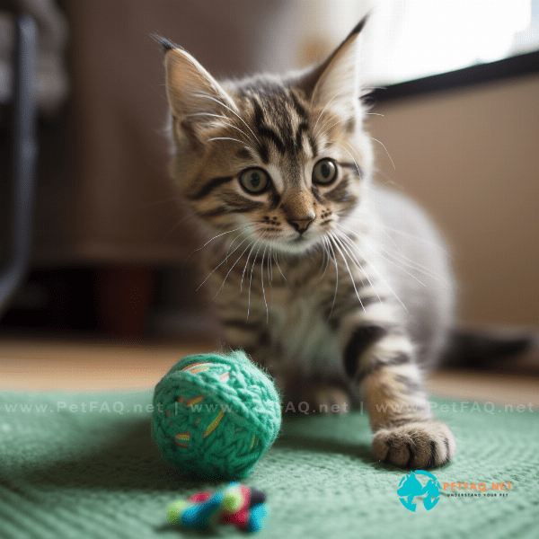 Are there different types of catnip for kittens?