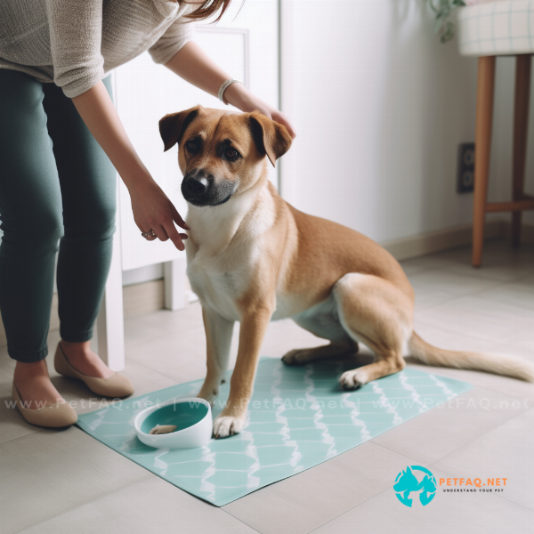 Do dog training pads come in different sizes?