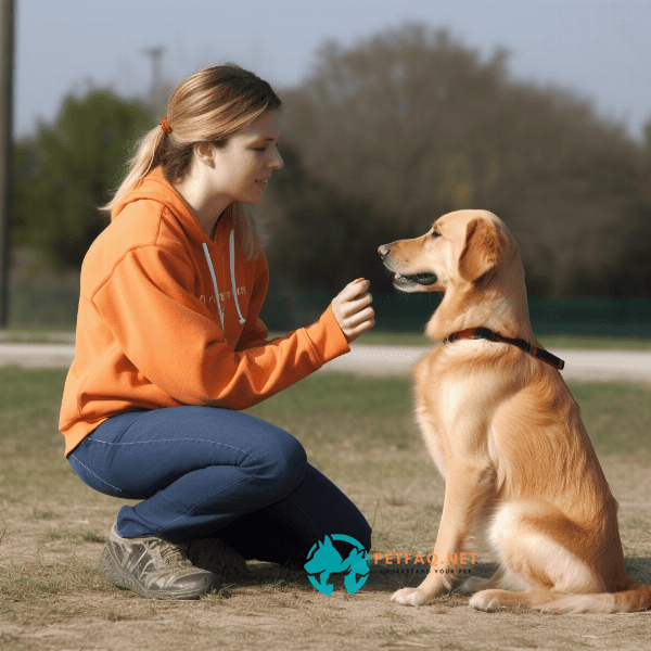 Tips for Training Your Own Therapy Dog