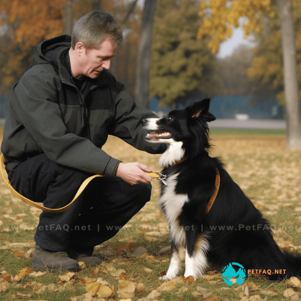 Training Your Dog for Specific Purposes