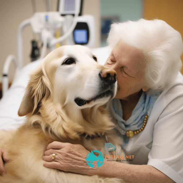What kind of personality traits does a therapy dog need to have?