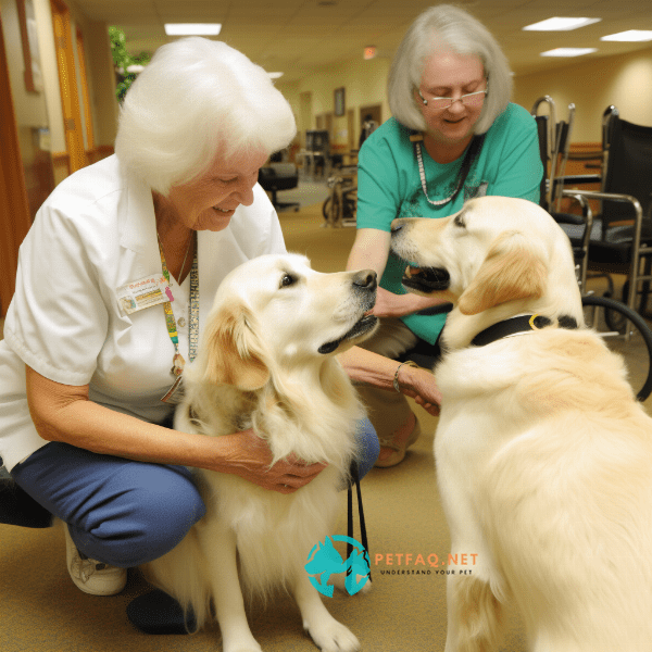 What are the benefits of therapy dogs?