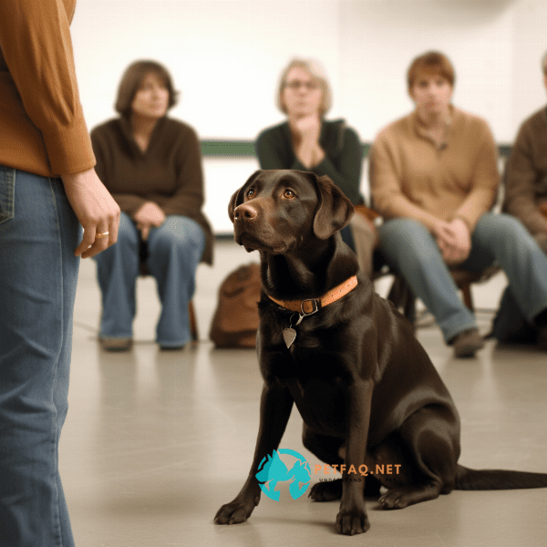 What types of dog training classes are available?