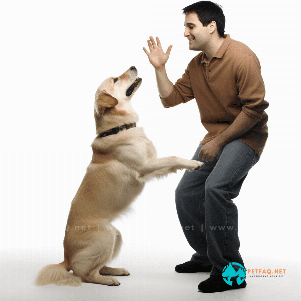 Addressing Behavioral Issues with Dog Whisperer Training Methods