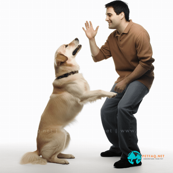 What are some common misconceptions about dog whisperer training techniques?