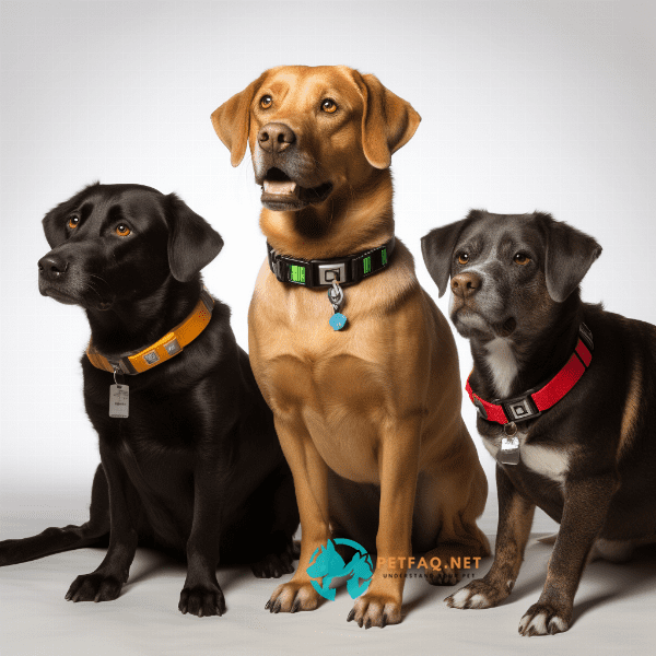 How do you choose the right size and fit for a dog training collar?